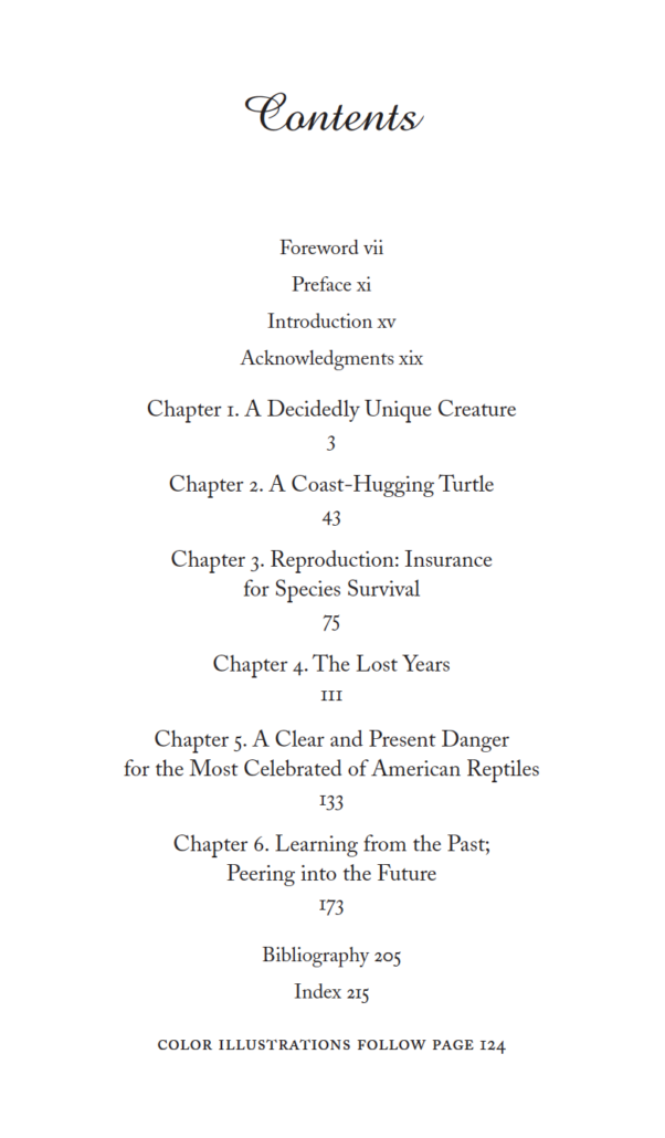 Brennessel Table of Contents