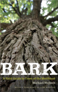 Bark, cover