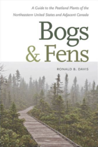 bogs and ferns, Cover