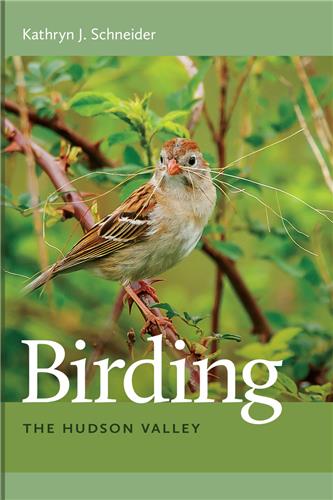 Cover Image of Birding: The Hudson Valley