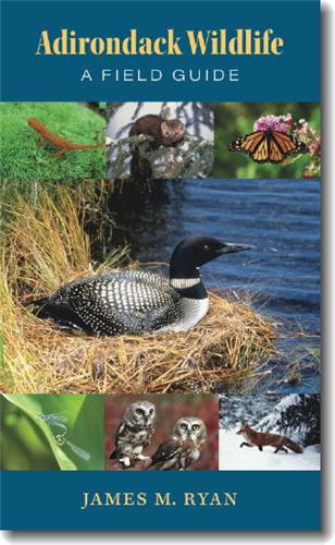 Cover Image of Adirondack Wildlife: A Field Guide
