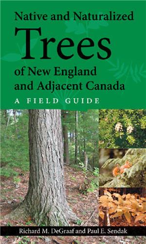 Cover Image of Native and Naturalized Trees of New England and Adjacent Canada: A Field Guide