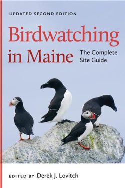 Cover Image of Birdwatching in Maine: The Complete Site Guide