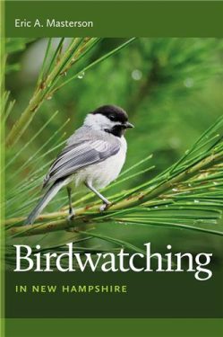 Cover Image of Birdwatching in New Hampshire