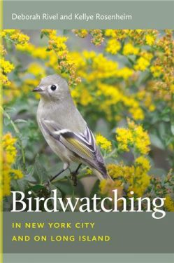Cover Image of Birdwatching in New York City and on Long Island