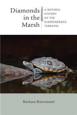 Cover Image of Diamonds in the Marsh: A Natural History of the Diamondback Terrapin