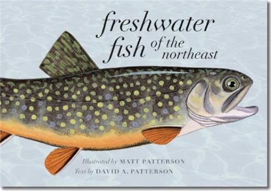 Cover Image of Freshwater Fish of the Northeast