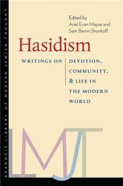 Cover Image of Hasidism: Writings on Devotion