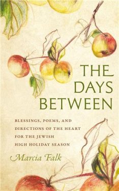 Cover Image of The Days Between: Blessings