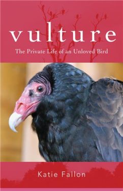 Cover Image of Vulture: The Private Life of an Unloved Bird